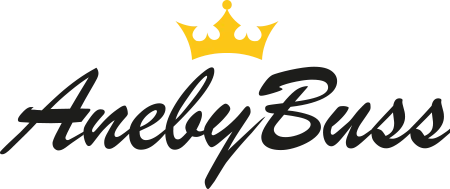 AnebyBuss-Web-Logo (1)
